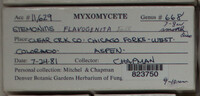 Image Associated With the Occurence